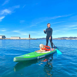 WOWSEA 12'/366cm フライフィッシュ F2 インフレータブル スタンドアップ パドルボード